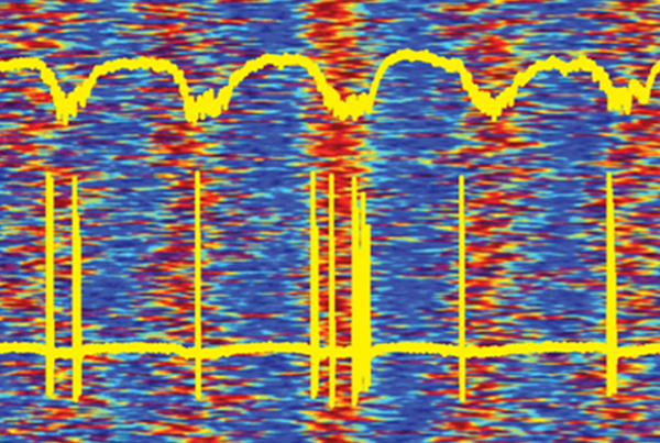 Neurons find order in the noise