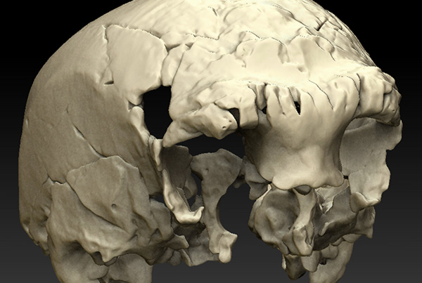 400,000 year-old fossil cranium from Gruta da Aroeira, Almonda karst system (Portugal)