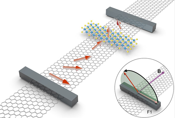 Proximity-induced spin-orbit coupling in graphene unambiguously demonstrated