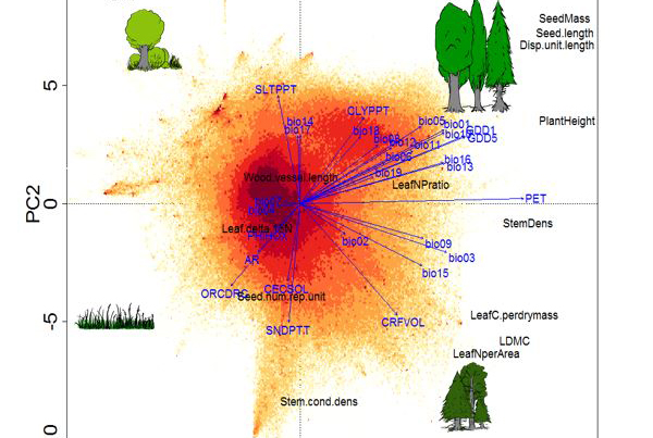 Global trait–environment relationships of plant communities