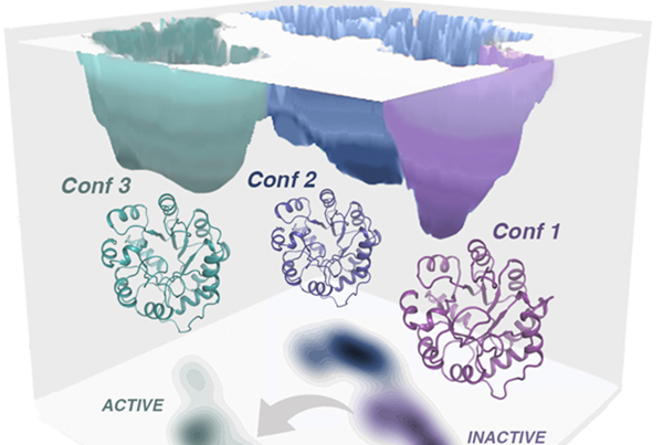 Hide-and-seek enzyme conformations for new function!