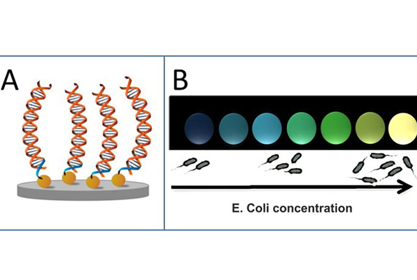 Cost-efficient nanodevices for pathogens detection