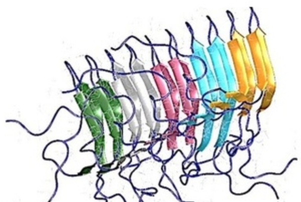 RNA structure drives proteins crazy