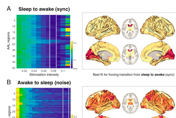 Brain Songs and Awakening: Towards understanding consciousness, different brain states  and disease recovery