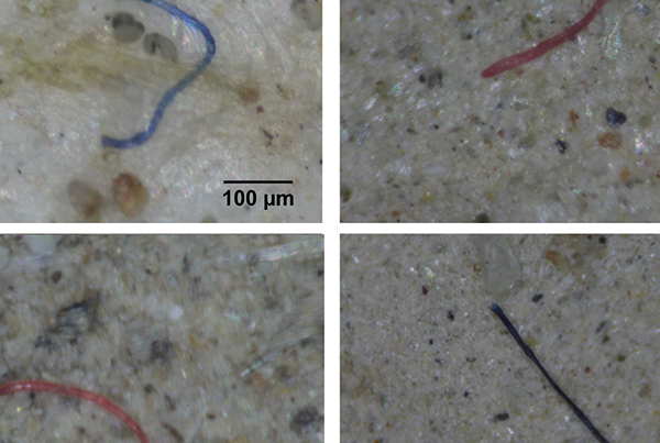 Rivers as main pathway of microplastic pollution to the ocean