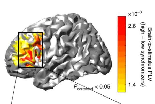 Individuals’ brain synchronization to speech relates to language learning capacities
