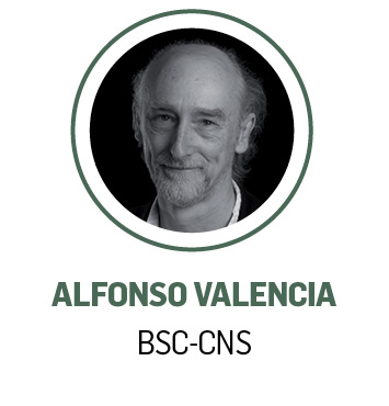 Alfonso Valencia