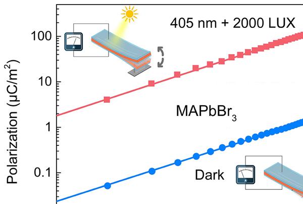 Energy multi-harvesting with halide perovskites: two for the price of one