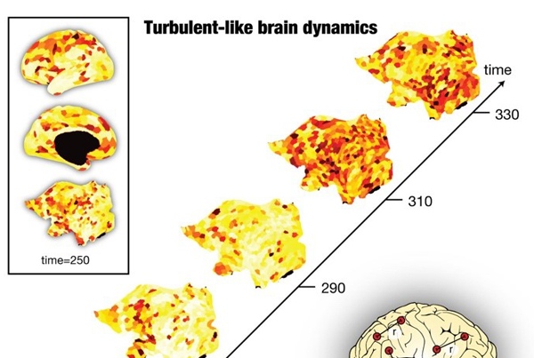 Turbulent-like dynamics in the human brain