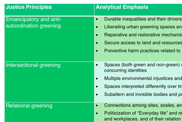 A novel theoretical framework for analyzing environmental justice in green cities