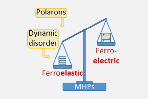 Ferroelectricity or ferroelasticity? That is the question about metal halide perovskites