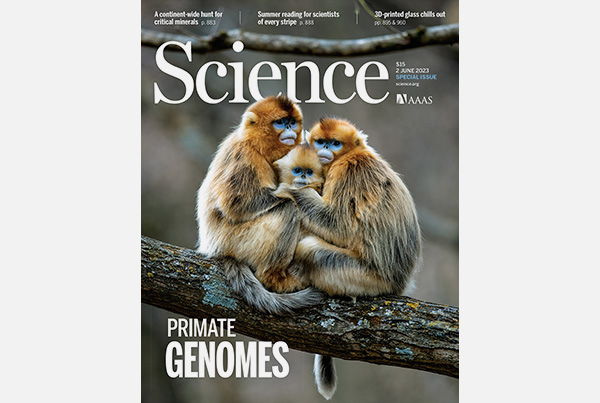 Special Issue in Science about Primate Genomics