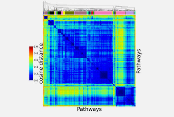 Identifying cellular cancer mechanisms through pathway-driven data integration