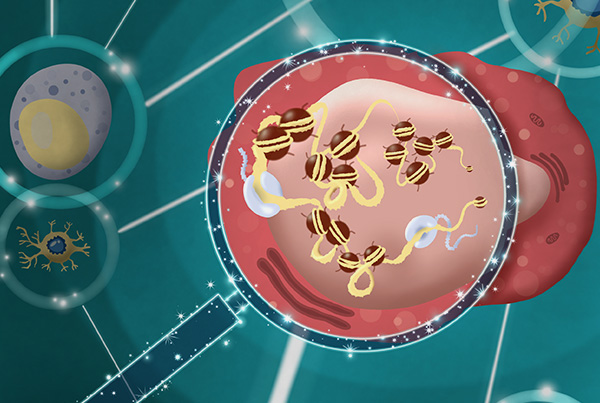 AI Spots Cancer cells, Stem cells and Viral Infected cells at Nanoscale Precision