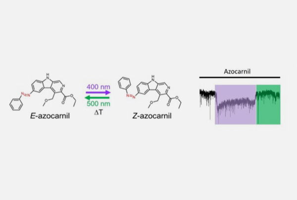 New drug to inhibit the nervous system activity in vivo with light