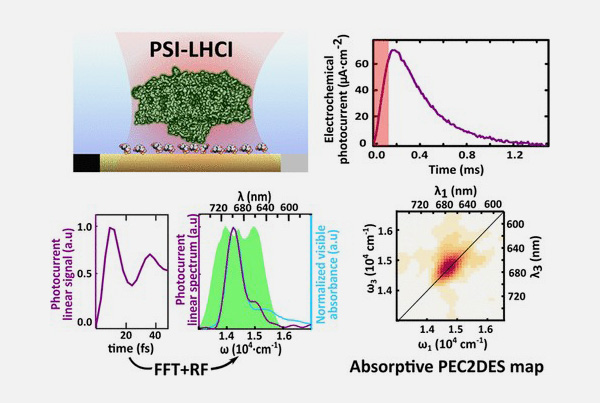 Measuring the current form nature’s “solar panels” using ultrafast lasers