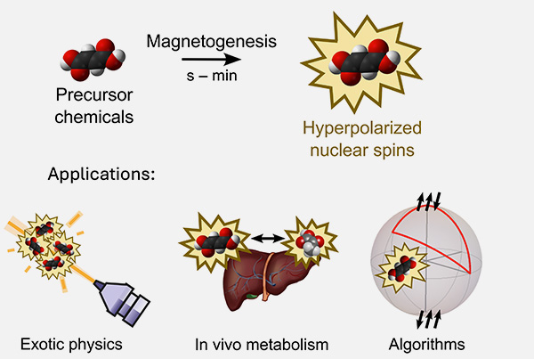 Live observation of signal enhancement in magnetic resonance