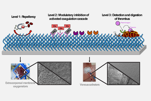 Endothelium-inspired coatings to improve blood compatibility of medical devices