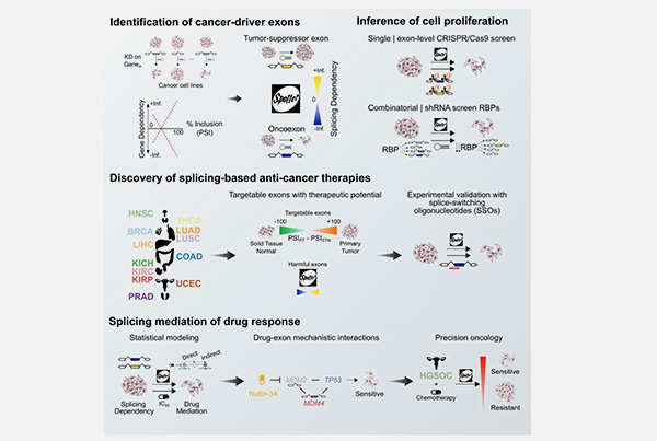 Identification of cancer driver exons with potential therapeutic applications