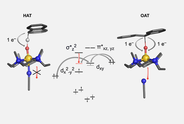 A tale of two topological isomers with enhanced reactivity