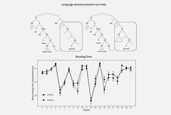 What is happening in our minds when we understand sentences?